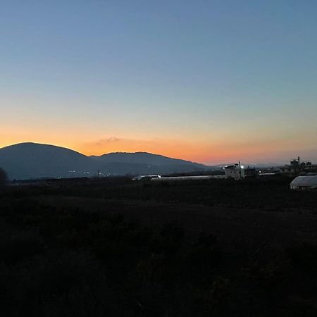 Harmony Villa Berat Exteriér fotografie