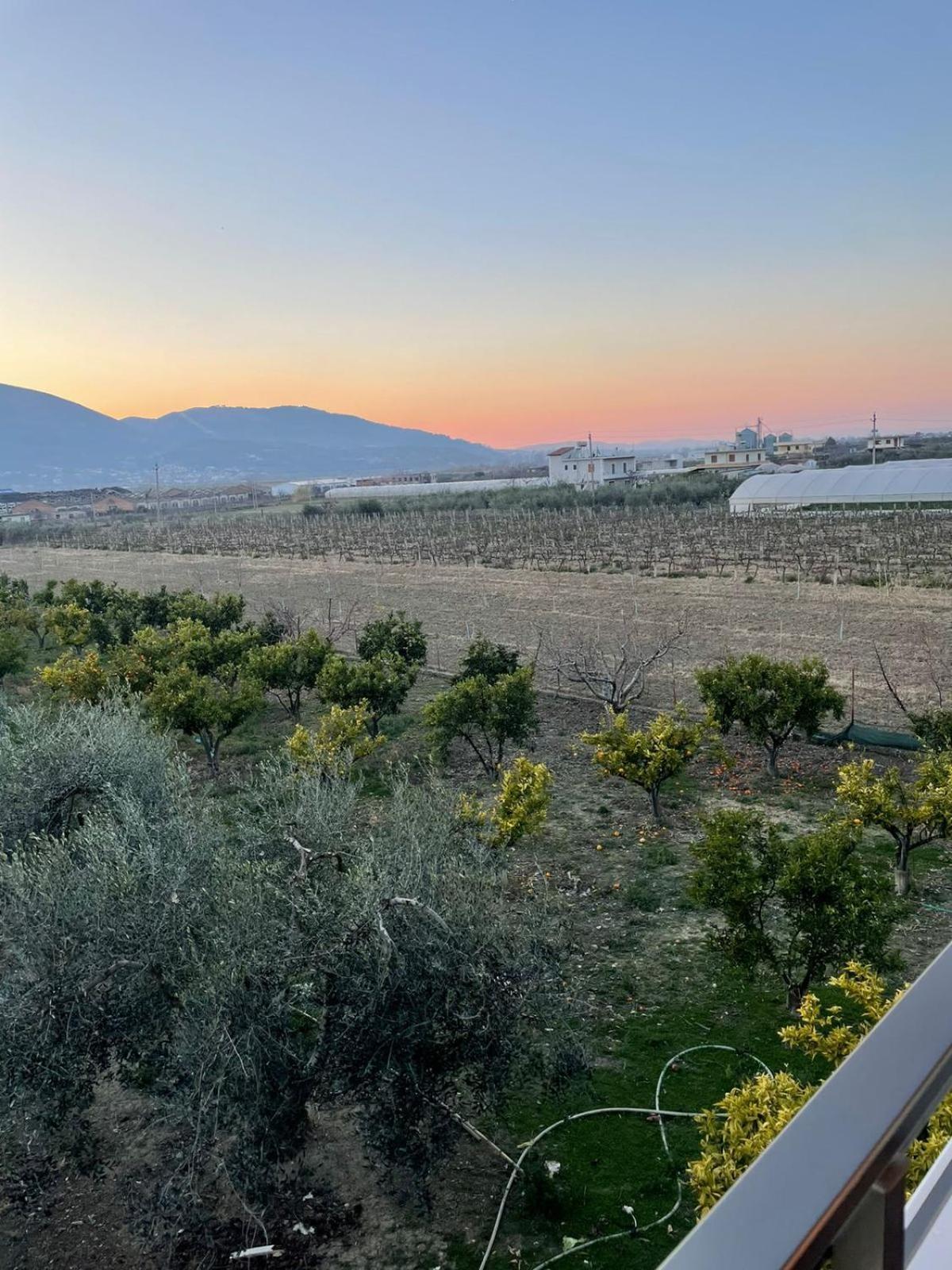 Harmony Villa Berat Exteriér fotografie