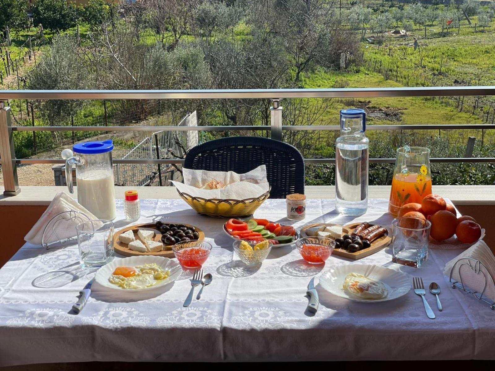 Harmony Villa Berat Exteriér fotografie