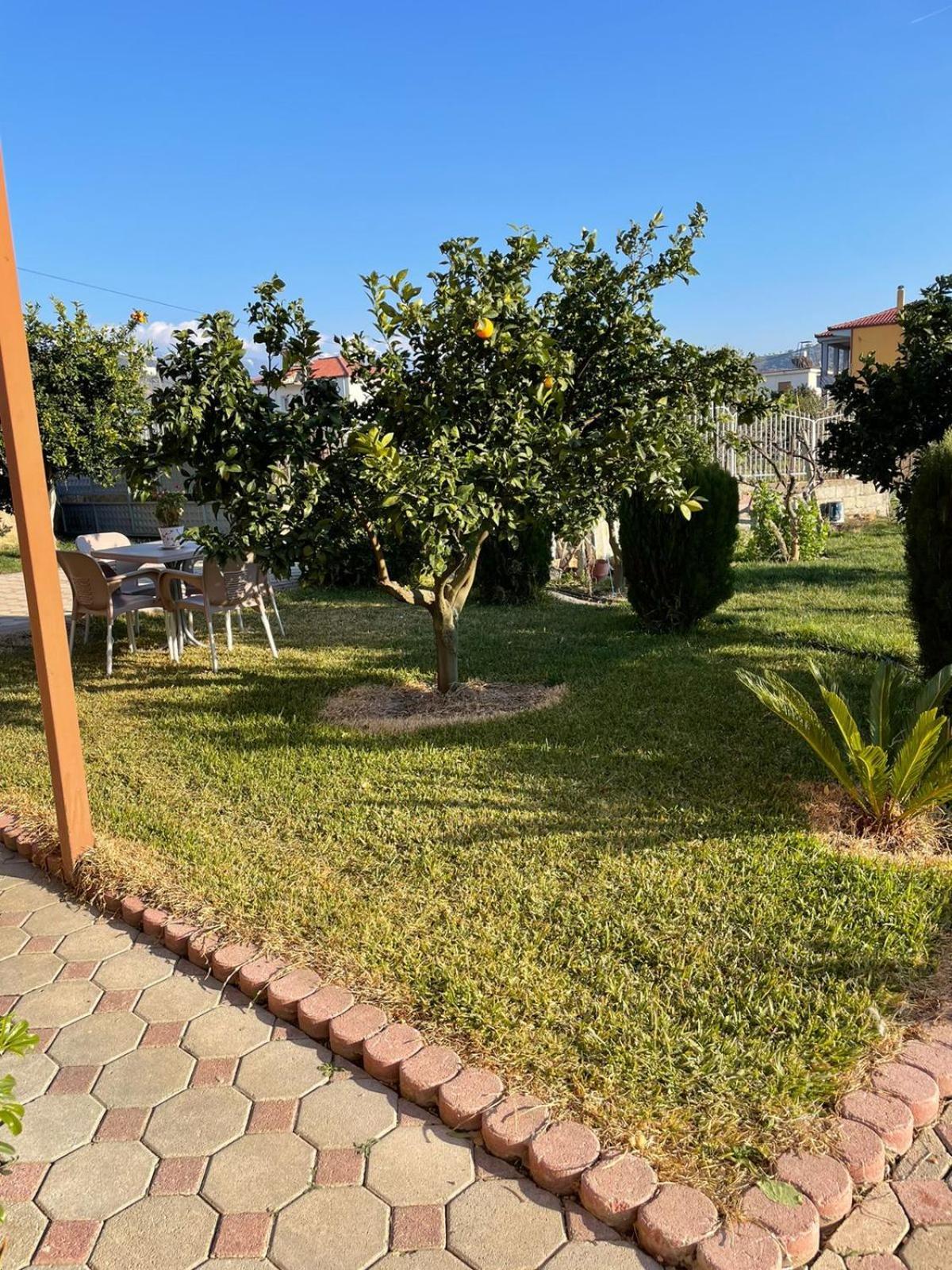 Harmony Villa Berat Exteriér fotografie